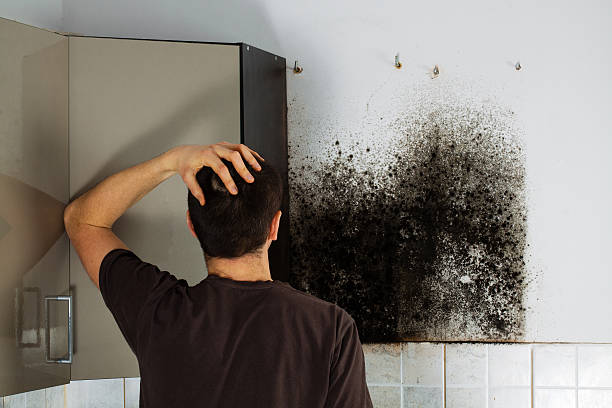 Best Mold Removal for HVAC Installations  in Pleasant Hill, MS